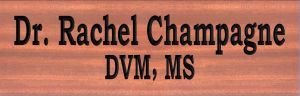 Dr Rachel Champagne desk sign